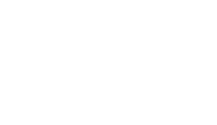Premium Steak
